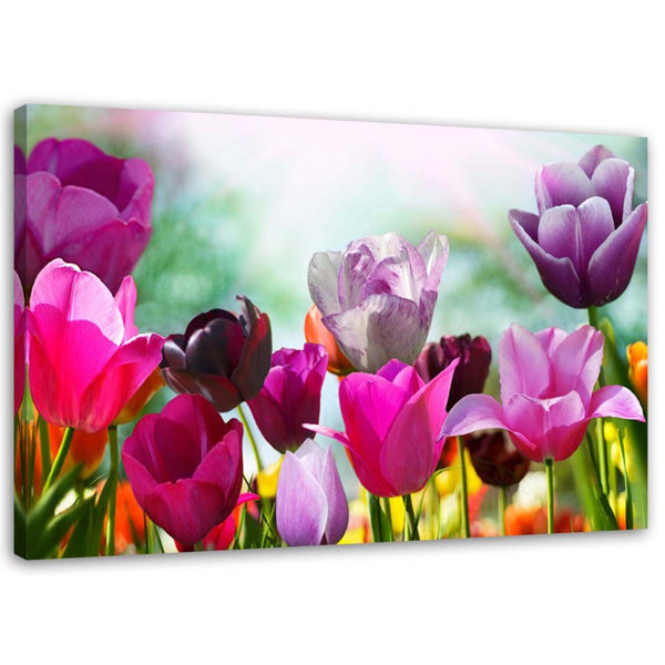 Ebern Designs Leinwandbild Bunte Tulpen Auf Einer Wiese Wayfair De